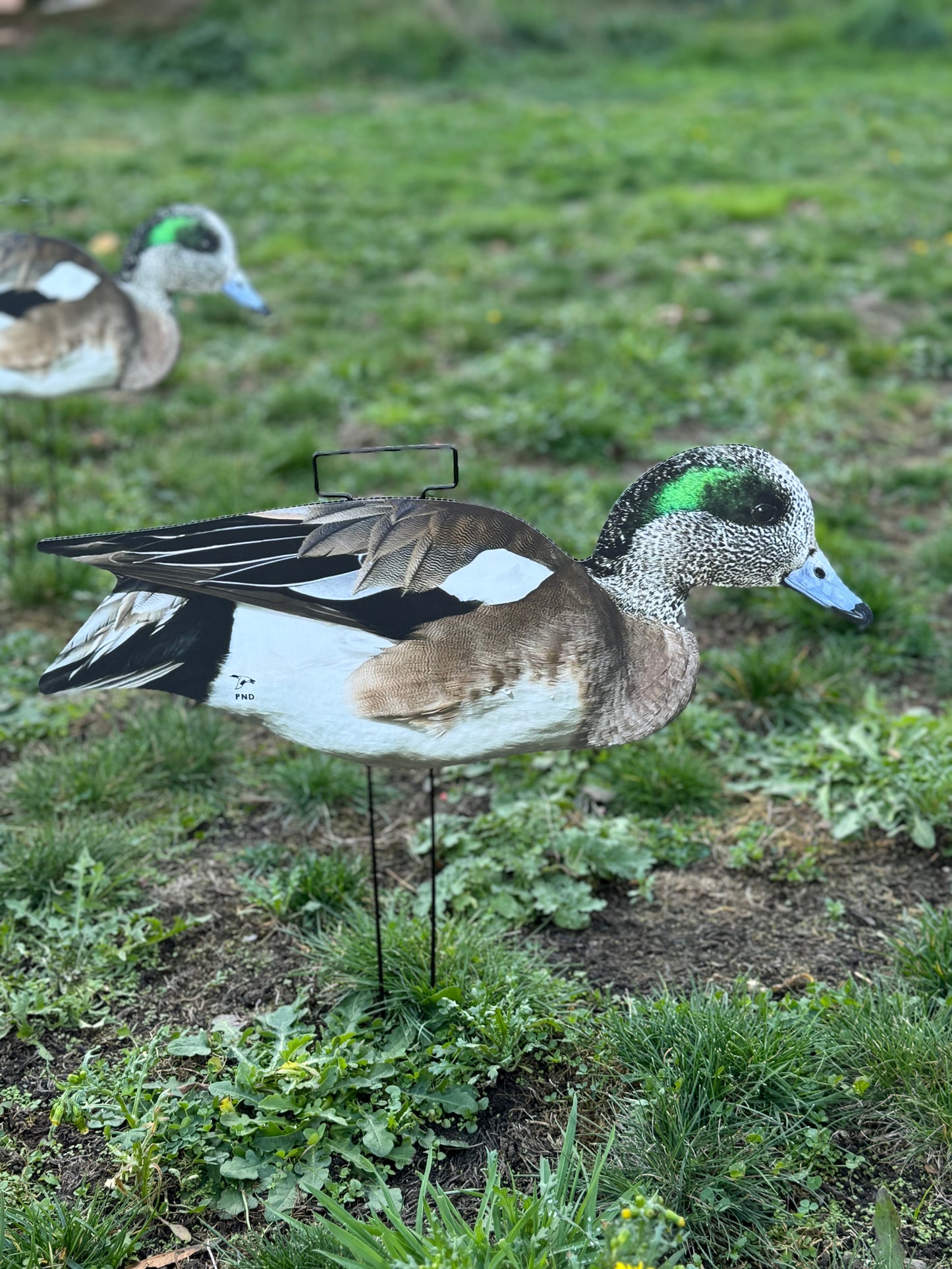 Widgeon Silhouettes